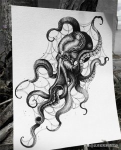 ​八爪鱼纹身参考手稿