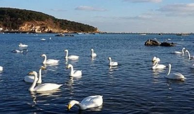 ​山东最有钱的4大城市：1个新一线，1个二线，1个三线