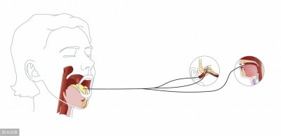 ​三叉神经痛是哪个部位(三叉神经痛的症状表现)