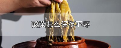 ​酸菜怎么保存不坏