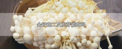 ​金针菇发芽还能吃吗 金针菇二次生长能吃吗