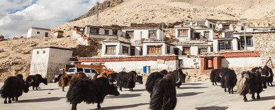 ​绒布寺海拔多少米