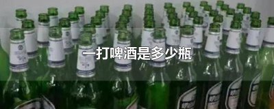 ​啤酒一打多少瓶? 一打是几瓶啤酒