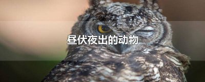 ​什么动物日伏夜出害众生 什么动物日伏夜出善钻洞