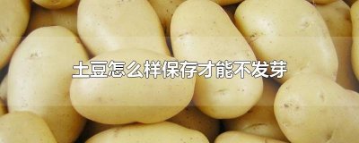​土豆怎么样保存才能不发芽