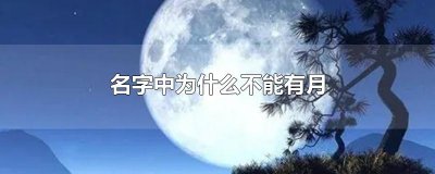 ​名字中为什么不能有月