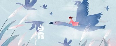 ​鸿雁的寓意象征意义