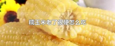 ​糯玉米变硬了怎么办 糯玉米有点老怎么吃