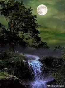 ​春来正是踏青时,莫负芳菲绰约姿——十首赏花名诗赏析（1）