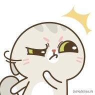 有什么能翻译文档的软件(翻译文本软件大合集)(13)