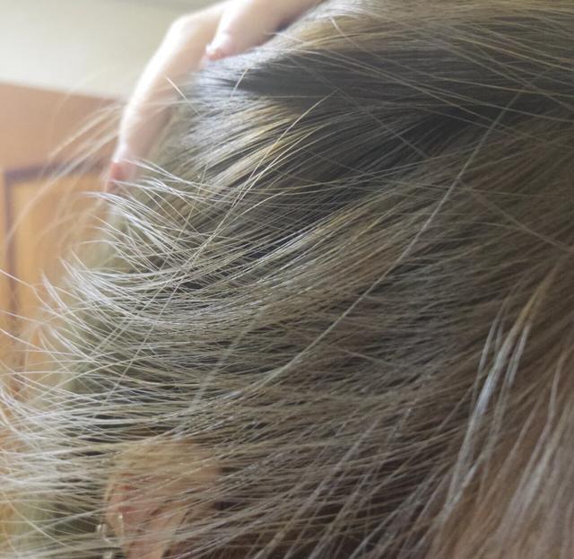 资生堂专业美发的头皮生机洗发水(适合染烫发质的洗发水)(5)