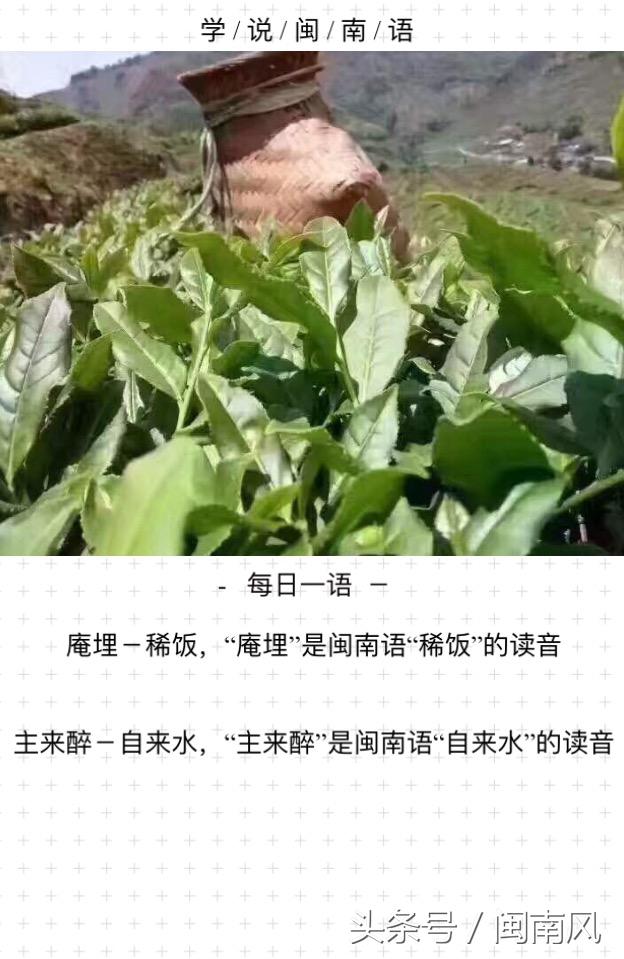 闽南语教程助您轻松学说闽南话（闽南话SoEasy轻松学会闽南话）(5)