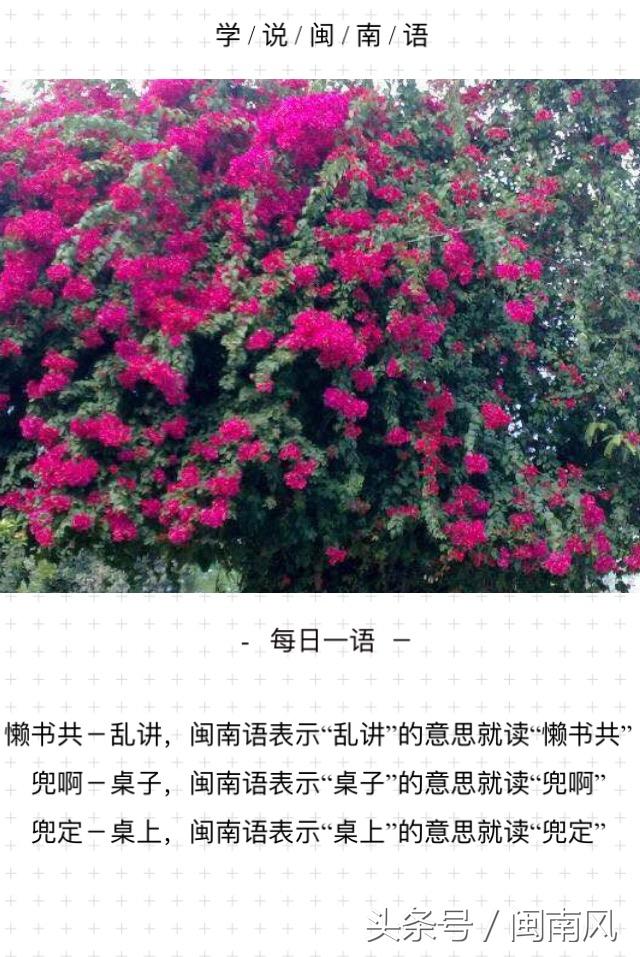 闽南语教程助您轻松学说闽南话（闽南话SoEasy轻松学会闽南话）(3)