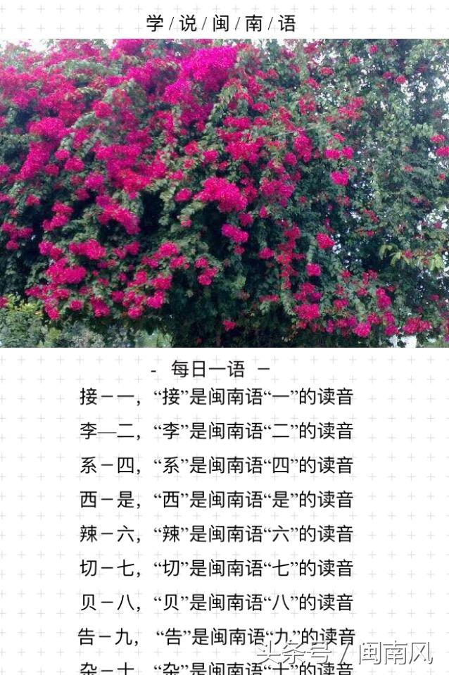 闽南语教程助您轻松学说闽南话（闽南话SoEasy轻松学会闽南话）(4)