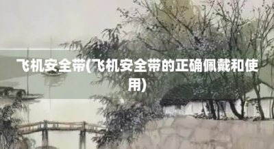 ​飞机安全带(飞机安全带的正确佩戴和使用)