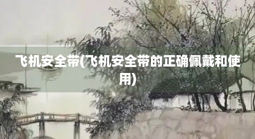 飞机安全带(飞机安全带的正确佩戴和使用)