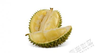 ​榴莲变酸还能吃吗，榴莲吃起来为什么是酸的?是坏啦吗？