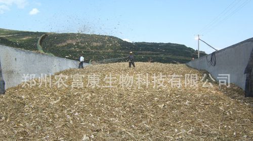 用尿素水黄贮玉米秸秆的使用方法
