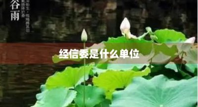 ​经信委是什么单位(经信委是什么单位实权单位吗)