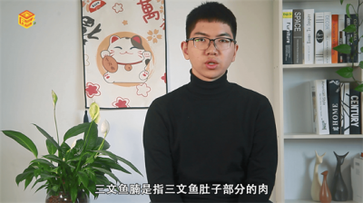 ​三文鱼腩与三文鱼肉区别是什么 三文鱼鱼肉和鱼腩区别