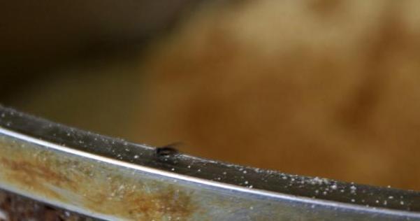 旧报纸竟然还能用来干这个！你绝对想不到！