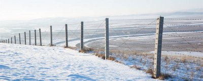 ​冬至谚语大全 冬至谚语大全图片