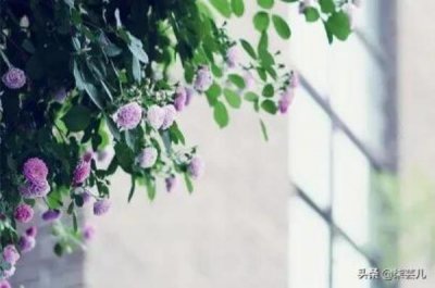 ​和单位同事婚外情的后果，和同事发生了婚外情