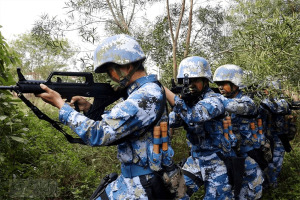 海军陆战队是特种兵吗(海军陆战队是什么兵种)