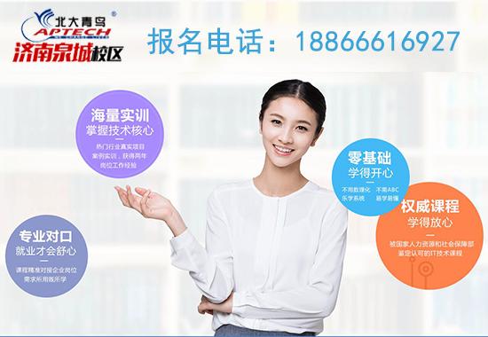 济南北大青鸟好不好（济南市北大青鸟学费多少）(1)