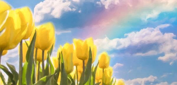 好兄弟生气了怎么安慰