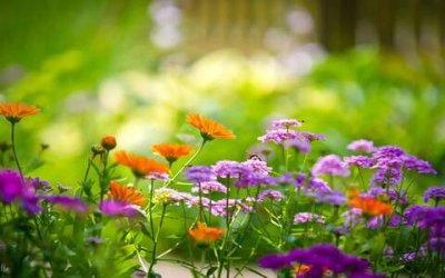 ​学习感言简短精辟，个人学习心得体会