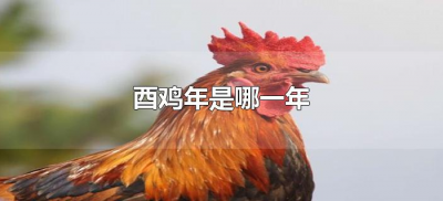 ​酉鸡年是哪一年（最近酉鸡年是哪一年）
