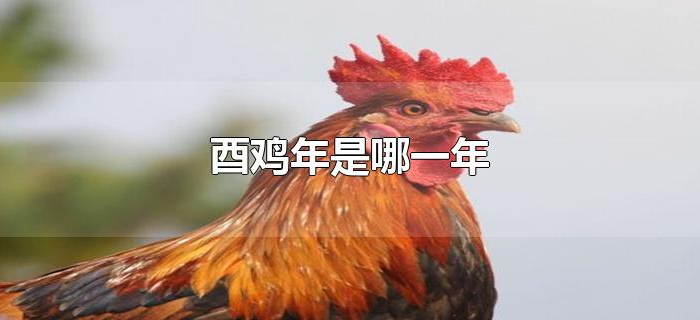 酉鸡年是哪一年