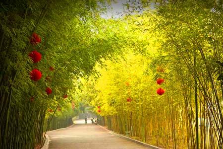 广宁竹海自驾游攻略