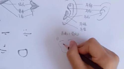 耳朵的笔画笔顺