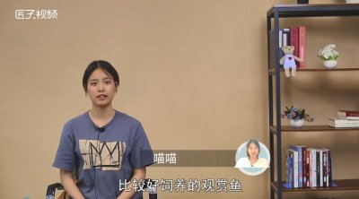 ​成吉思汗鱼吃什么