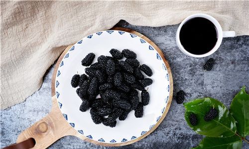 用桑葚泡酒的比例是多少