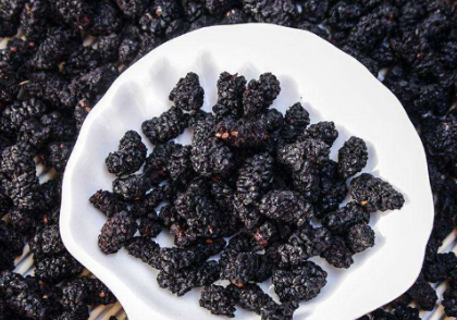 一斤干桑葚泡多少黄酒