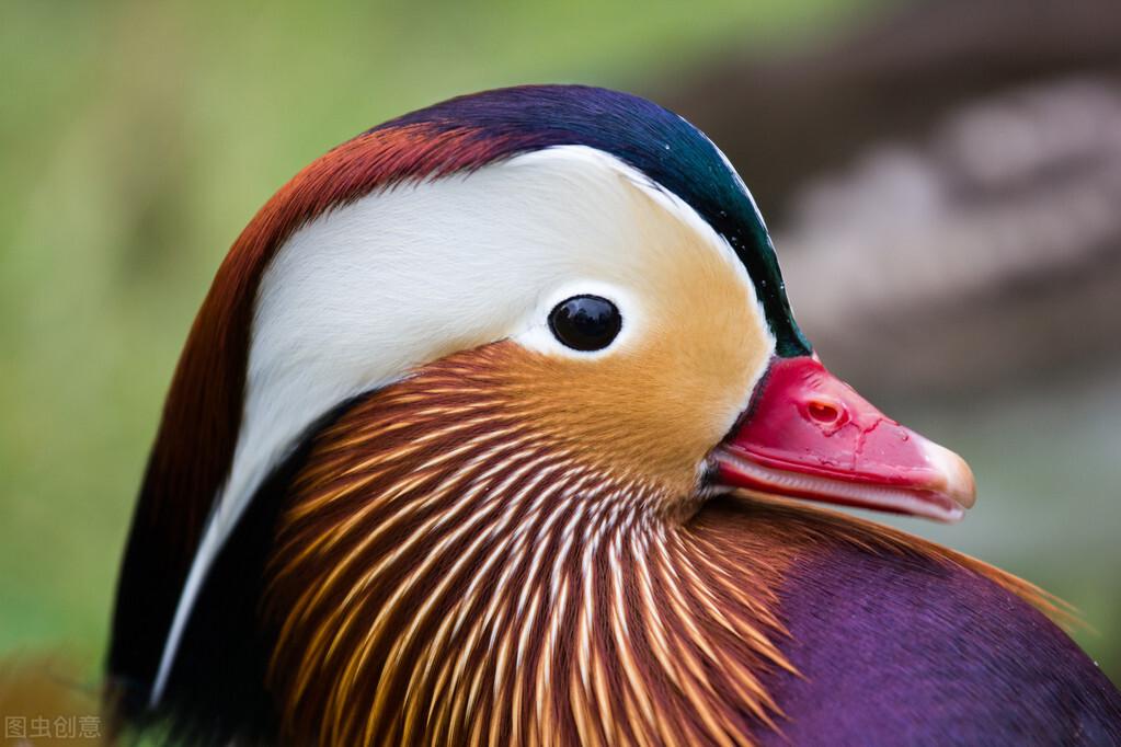 姐姐结婚要送弟弟什么礼物（姐姐结婚弟弟送什么礼物最合适）