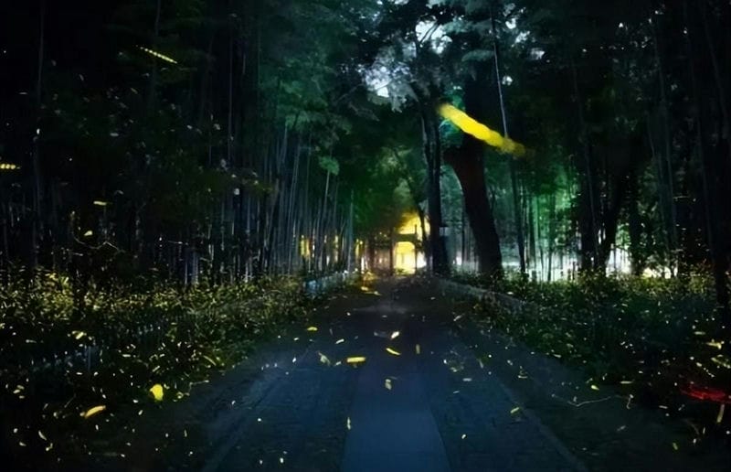 杭州晚上夜市最繁华的地段（杭州晚上哪里好玩的地方）