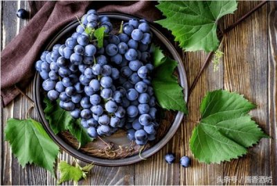 ​晾葡萄酒的渣有什么用吗？酿葡萄酒的渣有什么用