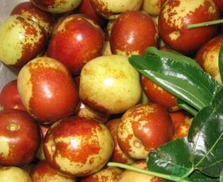 吃鲜枣的好处和坏处?吃鲜枣有什么好处? 吃鲜枣的好处和坏处?吃鲜枣有什么好处?