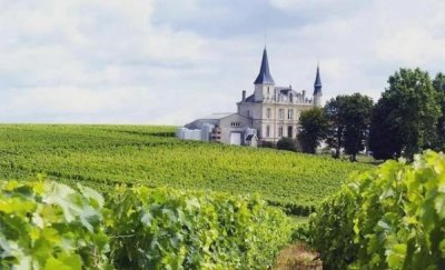 ​法国葡萄酒 年份(法国葡萄酒年份表2025)