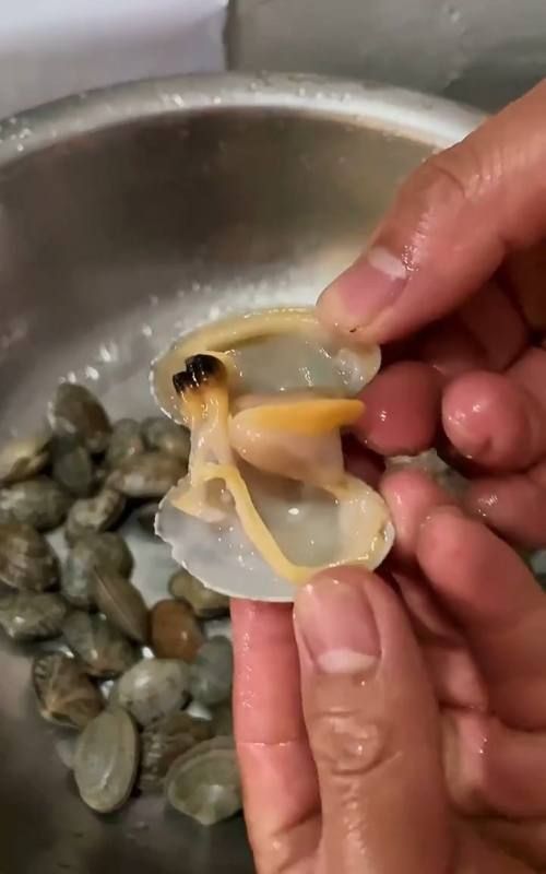 花甲要去掉屎吗