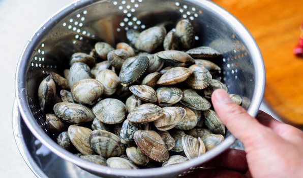 花蛤需要去屎,花甲用不用去内脏图4