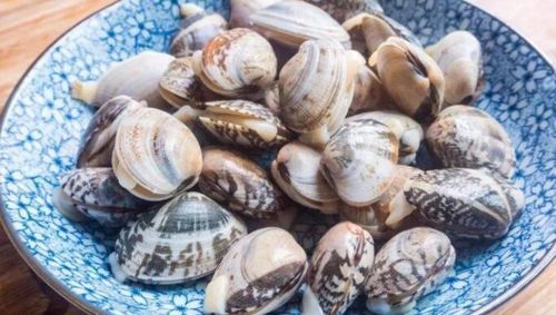 花甲需要去除粪便吗