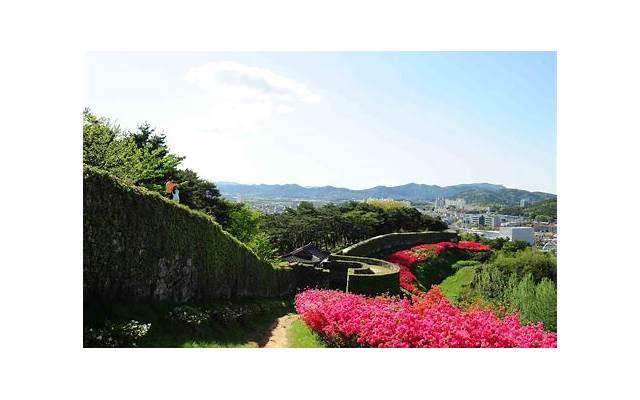 爱无能可以结婚吗？ 爱无能可以治好吗？