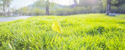 ​关于寒露经典的诗词