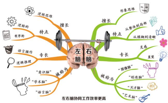 生活人如何高效记忆,怎么更快的掌握知识点2
