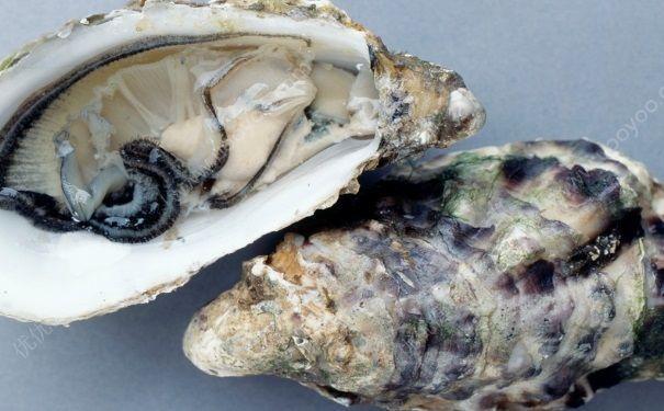 原来黄秋葵牡蛎才是男人的加油站！秋葵牡蛎一起吃，功效很强大！